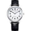 Citizen Men's BJ6541-15A Photovoltaic Eco-Drive Cowhide Business Watch