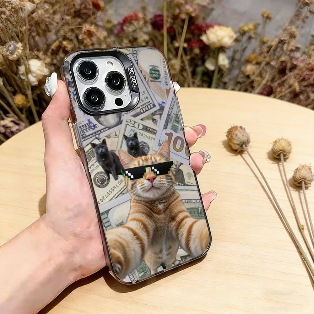 

Забавный Милый Чехол для Телефона с Кошкой Для iPhone 17,16,15,14,13,12,11 Plus,Pro Max,XS, Цветной Посеребренный Внутренний Чехол iPhone13Pro