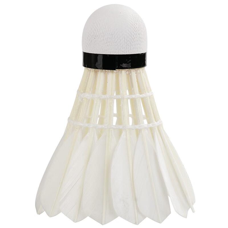 RSL Badminton Shuttlecocks (12-Pack, 77 Speed)