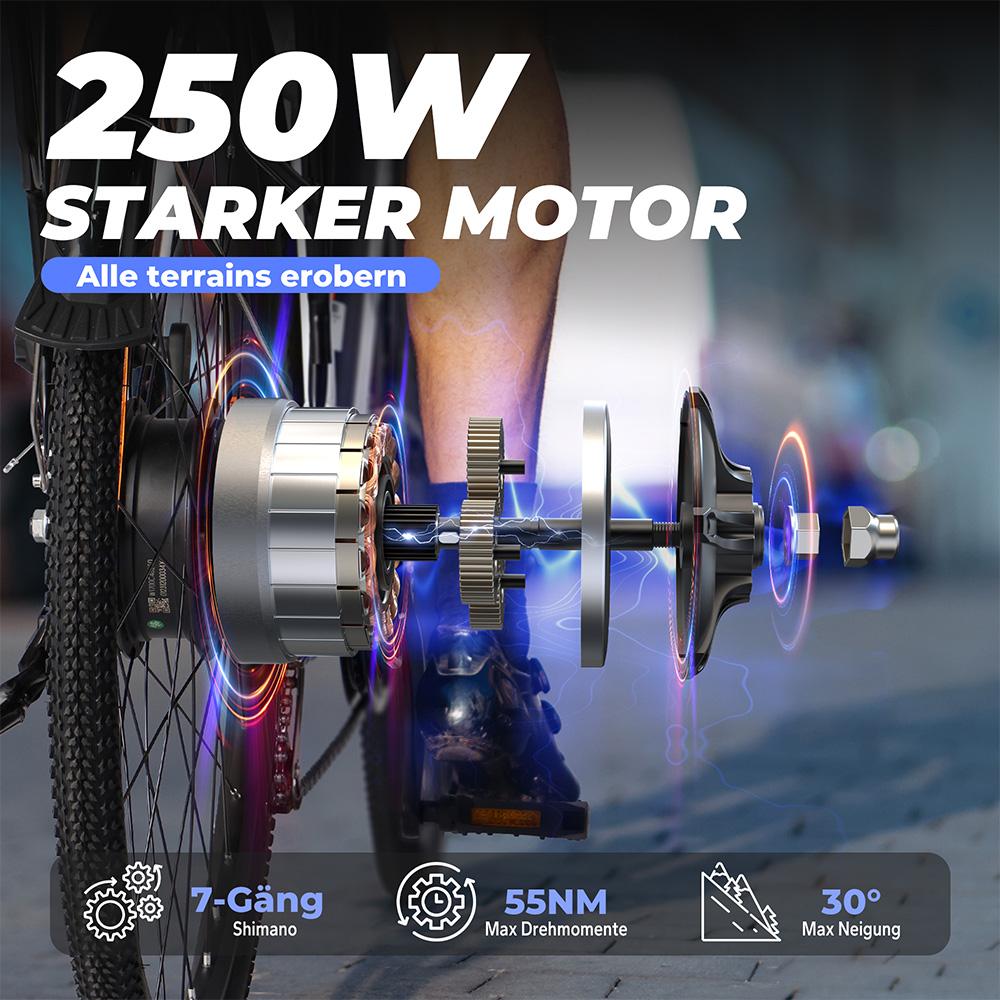 Electric Scooter Varun S700 250W Motor Dual Disc Brake 48V 10.4AH Adult E-bike Top Speed 25Km/h 27.5"x1.95" Tire