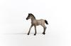 Schleich Horse Club Criollo Definiteivo (foal) 13949
