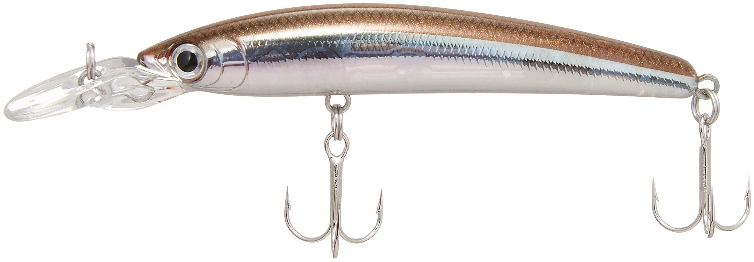 SMITH LTD Minnow DD Punish F 65mm 3.5g GM Smelt 65F (65mm)