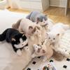 Premium-Quality 45Cm High-Standard Creative First-Class Plush First-Class Toy High-Standard Simulation High-Standard Ragdoll Premium-Quality Soft