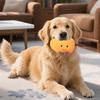 Plush Fruit Dog Toy Bite Resistant Squeaky Chew Avocado Mango Watermelon Pineapple Plushie Boredom Stress Relief Dog Teething Interactive