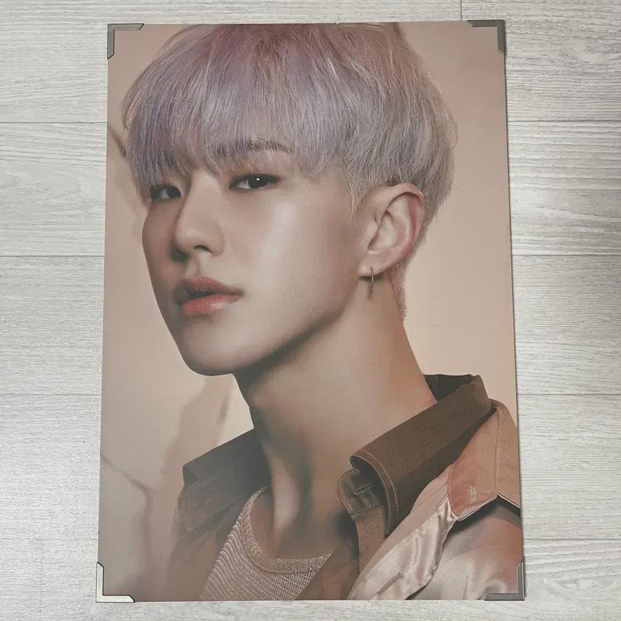 

I Sell Hoshi Spider Hard Posters