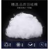 Unisex Oversized Winter Puffer Jacket Youth Warm Thick Cotton-Padded Coat With Stand Collar Side Pockets