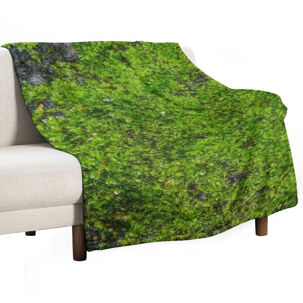World of Moss V Throw Blanket Weighted Valentine Gift Ideas Designers Single Blankets
