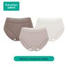 Women's Cotton Lace Low-Rise Briefs