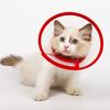 Cat Cone Collar Adjustable Recovery Pet Cone E-Collar Wound Healing Anti-licking Protective Collar Neck Cover for Cats Kittens Rabbits
