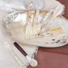 Natural Conch Shell Dessert Spoon 12/16cm Reusable Eco-friendly Spoon for Coffee Ice Cream Caviar Home Party Dessert Bar Use