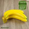 Foam Fruit Model Set: Educational Toy & Display with Plastic Apples, Bananas, Grapes for Kids
