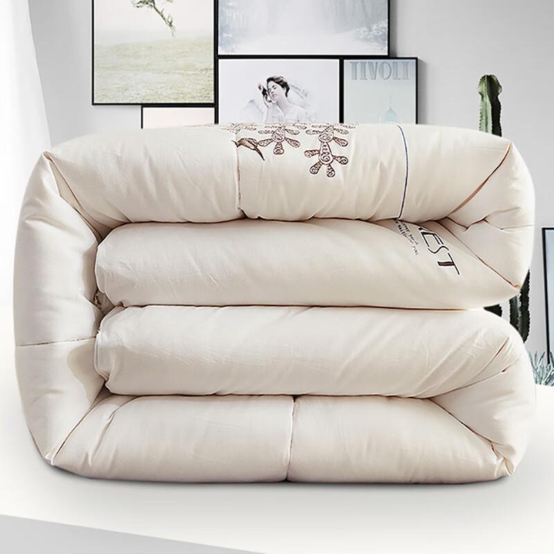 NanjiRen Printed Cotton Winter Quilt