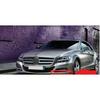 Front Bumper Trim Strip for Mercedes-Benz CLS200/260 W218