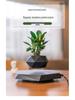 Magnetic Levitating Potted Plant - Creative Smart Home Decor Ornament
