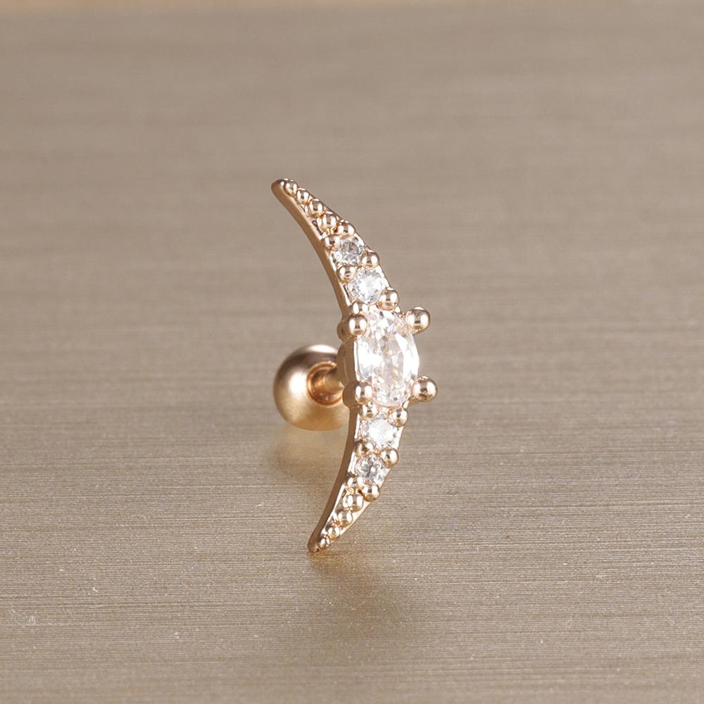 1 Stück 316L Edelstahl Geometrie Ohrstecker Für Frauen Mode Stern Mond Lappen Daith Helix Knorpel Ohrring Piercing Zirkon