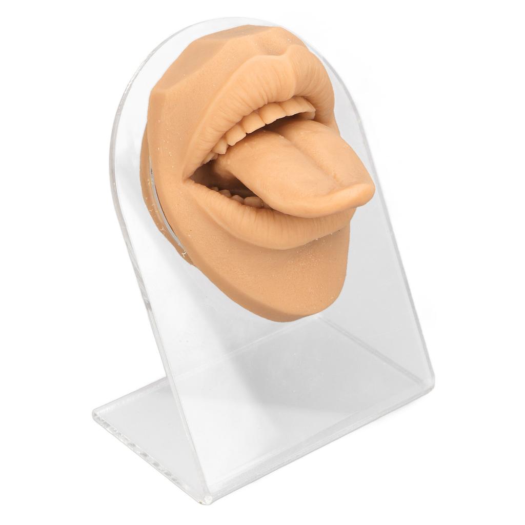 Human Tongue Model Soft Silicone Lifelike Acrylic Stand Mouth Model for Jewelry Display Skin Color