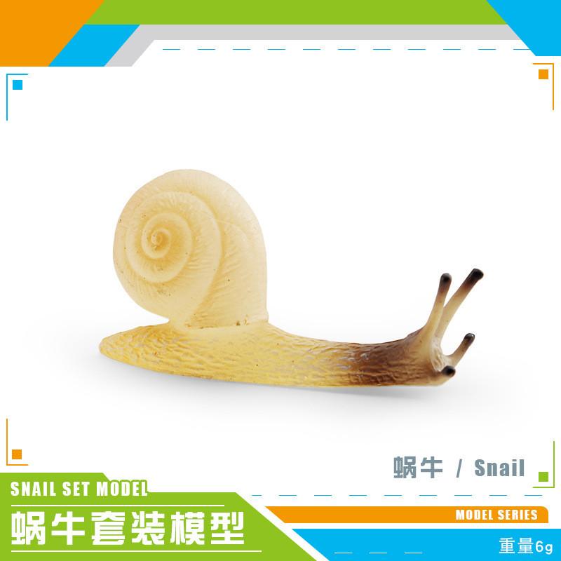 Vibrant Simulated Snail Figurines For Outdoor Garden And Indoor Home Decor