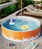 PVC Folding Pet Swimming Pool: Dog & Cat Bath and Play Pool