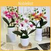 Phalaenopsis Plastic Potted Plants For Home Decoration And Props Photography