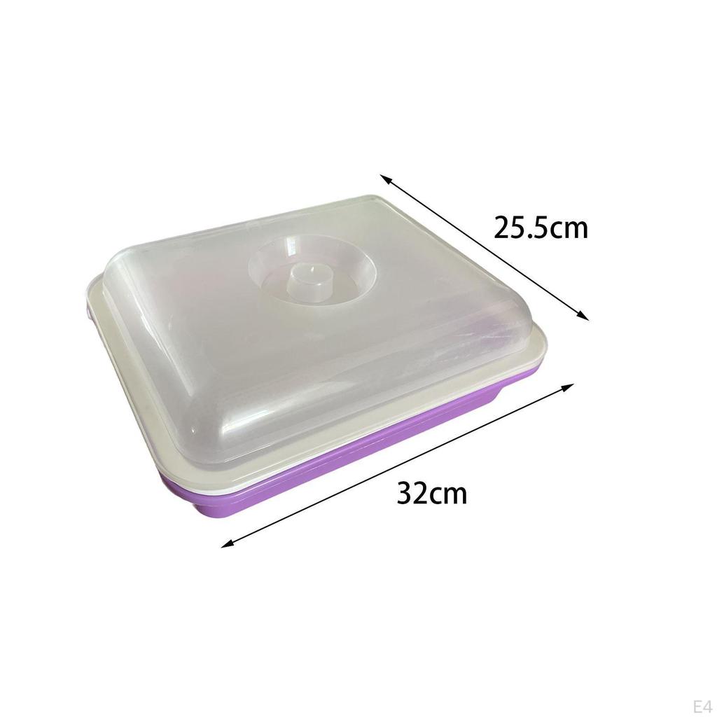 Seed Sprouting Trays for Plant Growth