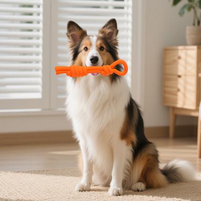 Gummi Seil Hund Kauspielzeug Bissfest Aggressive Kauer Interaktives Spielzeug Haustier Zahnen Reinigung Langeweile Spielzeug mit Quietscher