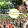 Planting Ventilate Seedling Raising Grow Bags Plants Nursery Bags Garden Supplies Nursery Pots