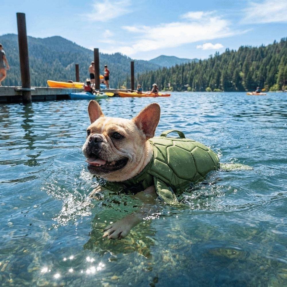Costume da Bagno per Cani a Forma di Tartaruga Maniglia Portatile Abbigliamento da Surf per Cani Attività Acquatiche