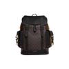 New Hudson Cow Leather Detail Backpack Large Size Men's Peach Blossom Wood Color With Gold Phoenix Multicolor CB902-QBUOR