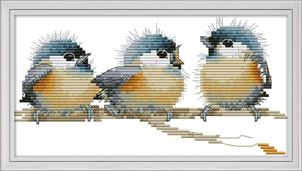 Awesocrafts Cross Stitch Embroidery Three Birds Printed Beginner Home Decor Kit - Design, DIY, (Birds)