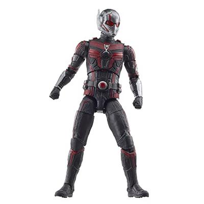Hasbro Marvel Legends Series Ant-Man, Ant-Man und die Wespe: Quantumania 6 Zoll (15 cm) Actionfigur, Ab 4 Jahren, F6573, Authentisch
