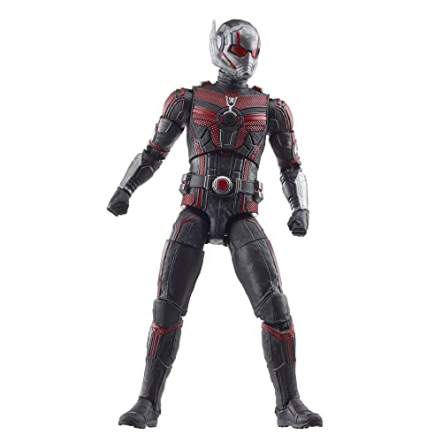 Hasbro Marvel Legends Series Ant-Man, Ant-Man and the Wasp: Quantumania 6-inch (15cm) Action Figure, Ages 4 and Up, F6573, Authentic