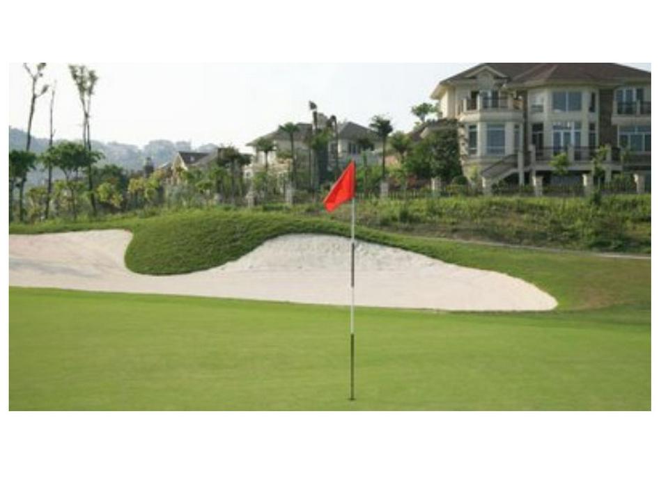 Weißes Kunstrasen-Putting Green & Boule-Rasen für Außen-/Innenbepflanzung und Dekoration, Extra dichter Bodenbelag