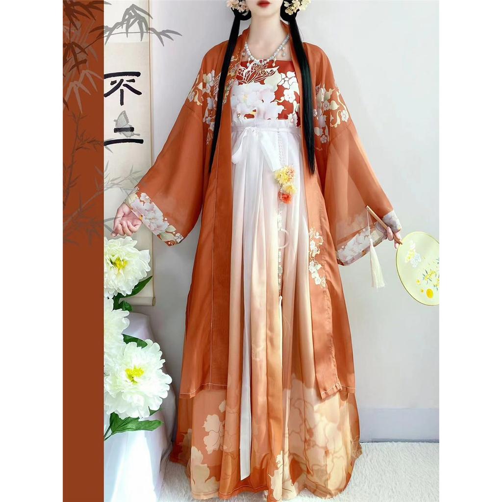 Women's Tang Dynasty Style Hanfu, Printed Hezi Skirt One-Piece Outfit, Traditional Chinese Daily Wear Costume