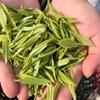 Hochwertiger Zhejiang AnJi Bai Pian Weißer Tee, An Ji Bai Cha Grüner Tee, 250 g