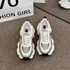 thick-soled Paris silver dad shoes women's summer 2025 new versatile mesh breathable sports casual shoes women's tide