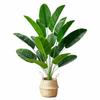 Material Plástico Plantas Artificiais Tamanho Grande Plantas Falsas Folha de Bananeira Artificial Decoração de Festa