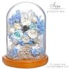 Teatsite Preserved Flowers, Flower Gift, Glass Dome Ferris Wheel (2 Blue Roses)