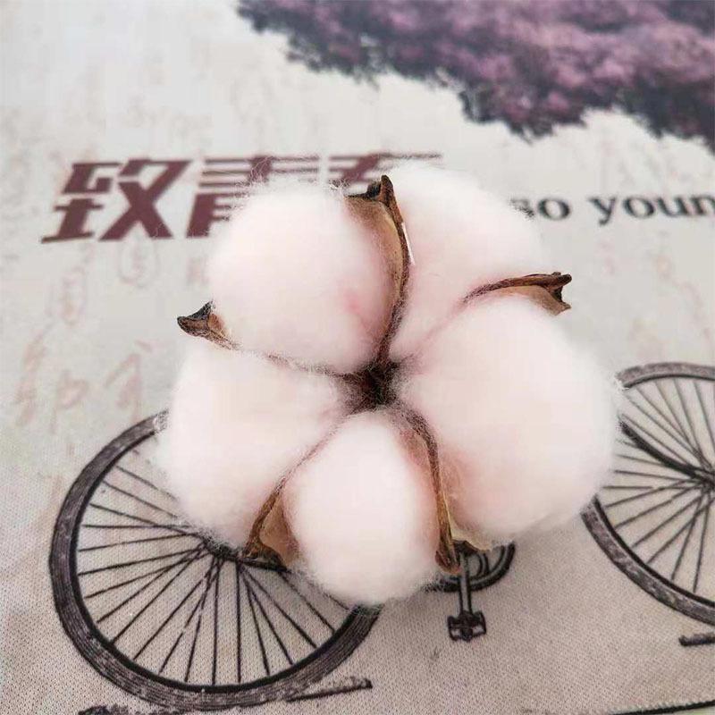 Natural Immortal Cotton Dried Flowers, Single Simulated Fake Flower Cotton Head Shooting Props Flower Arrangement Accessories Art Decoration