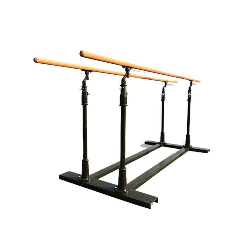 WEZHO Outdoor Pull-Up and Dip Station