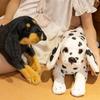 Păpuși și jucării moi – Animale de pluș
