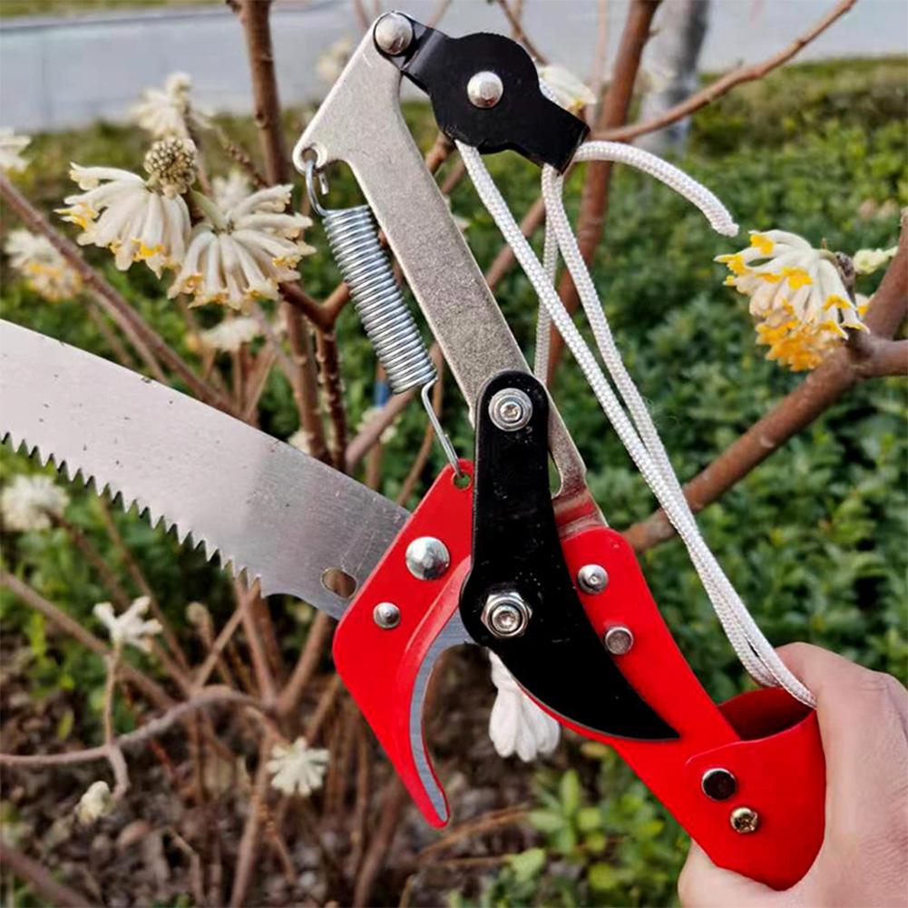 Extendable High Altitude Pruning Shears with Three Pulley System for Effortless Tree Trimming and Fruit Picking