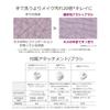 Panasonic Rich Foam Esthetic Pink Beauty Device EH-SC67-P