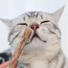 Waldmeister-Sticks für Katzen Natürliche Katzenminze Kausnacks Zähne Molar Kau-Spielzeug für Katze Kätzchen Geschenke