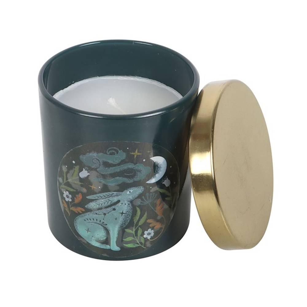 Something Different Wild Tulips Midnight Hare Candle