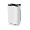 Medical Grade Air Purifier for Formaldehyde and Smoke Removal with Negative Ions for Home Use