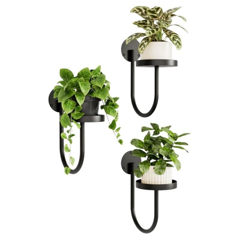 Suporte de Planta de Metal Preto Montado na Parede Vaso de Parede Moderno Prateleira Suporte para Vasos de Flores Pendurados Cabide de Planta de Parede Interno Externo
