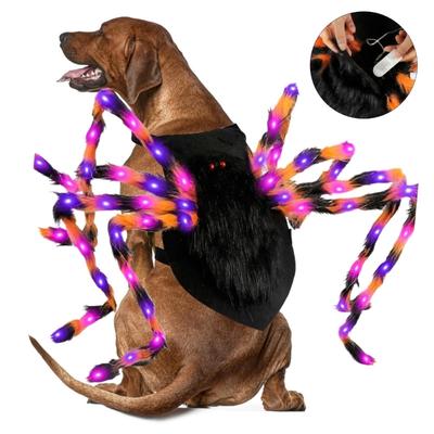 Giyim ve ayakkabı – Köpek Aksesuarları