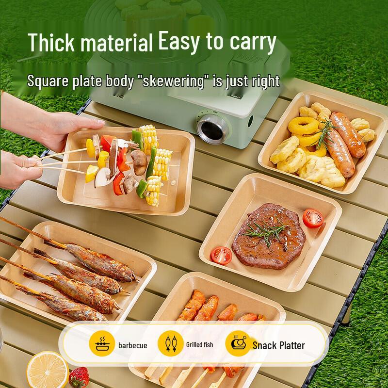 Temeiju Disposable Kraft Paper Plates for Camping & BBQ