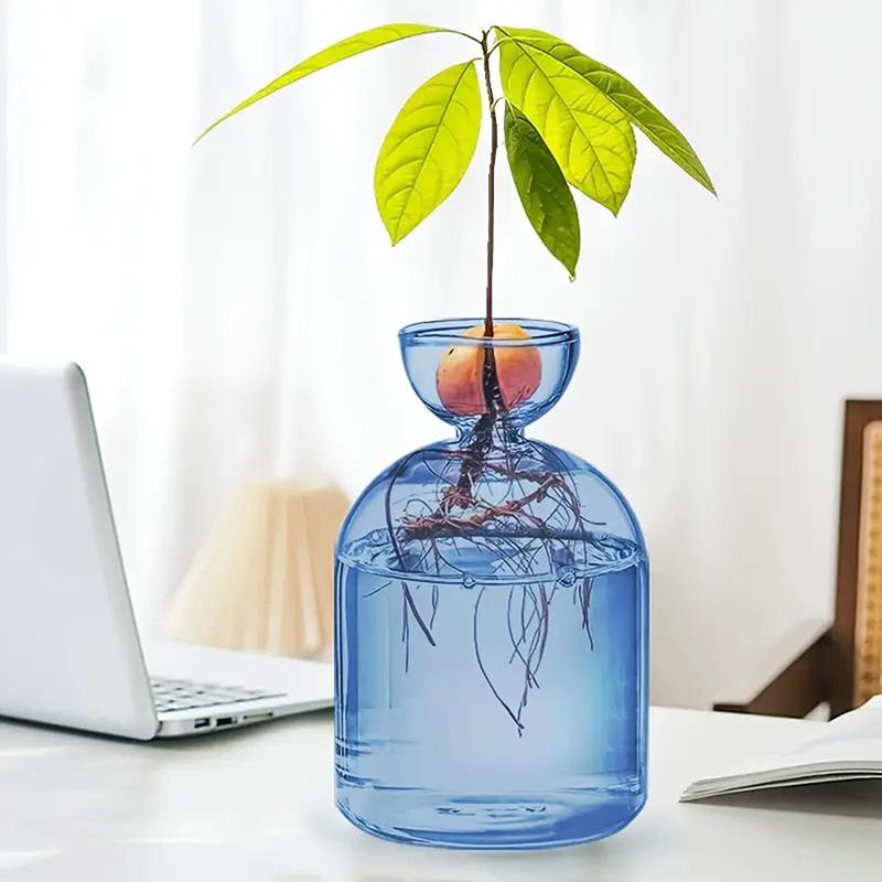 Colorful Transparent Avocado Hydroponic Vase Glass Avocado Seed Starter Vase Plant Seed Growing Kit Gardening Lovers Home Decor