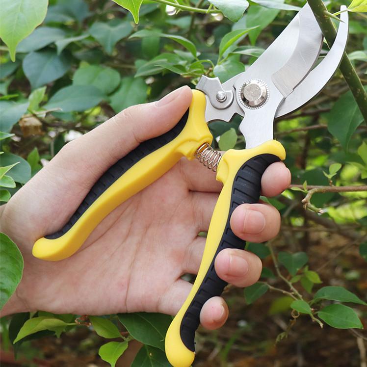 

Фруктовые деревья, трава, щетка, ножницы, секаторы, садовые инструменты для прививки